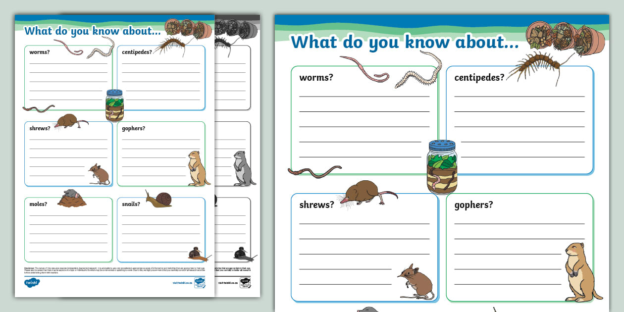 Animals That Live In Soil Fact File Template (teacher made) Animals That Live In Soil Fact File Template (teacher made)