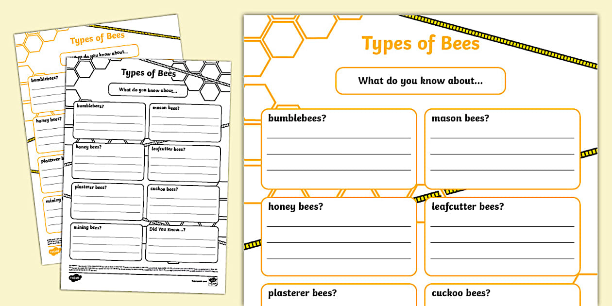 Types of Bees Fact File Template (Teacher-Made) - Twinkl