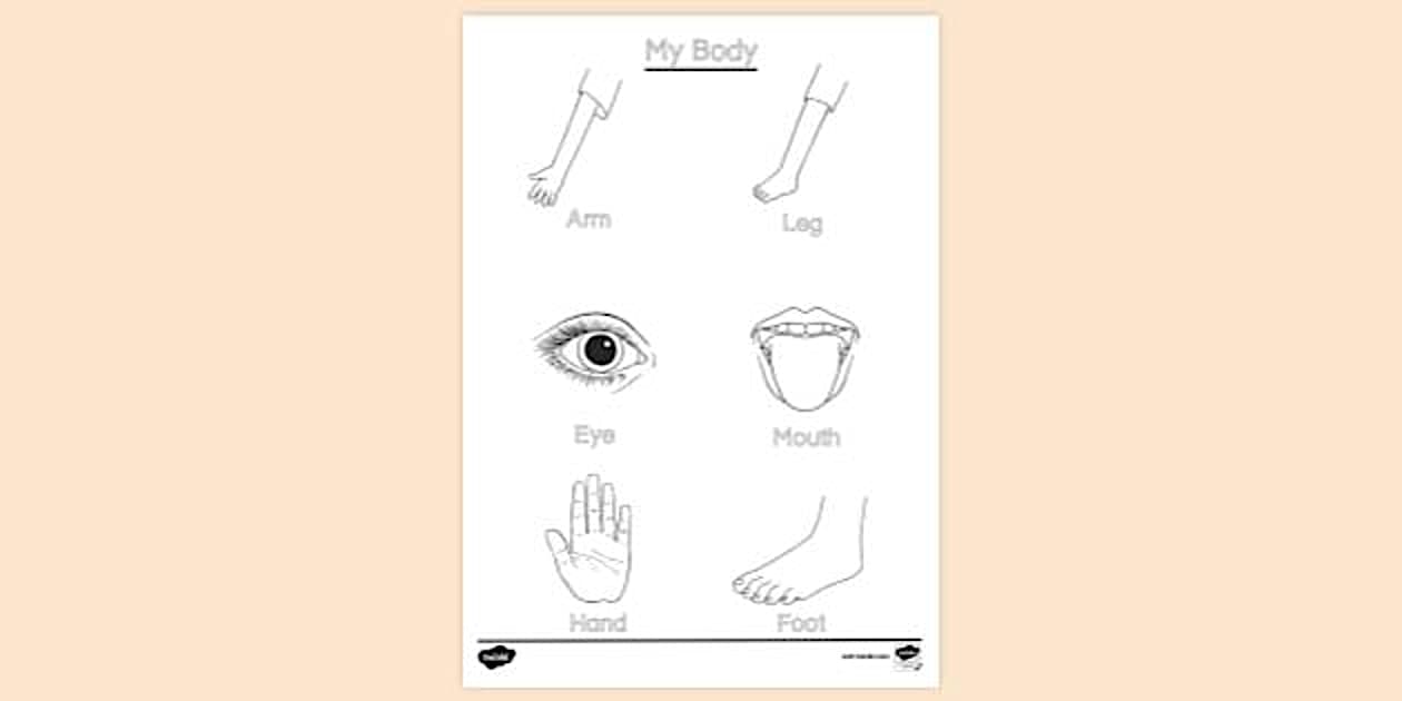Parts of the Body Colouring | Colouring Sheets - Twinkl
