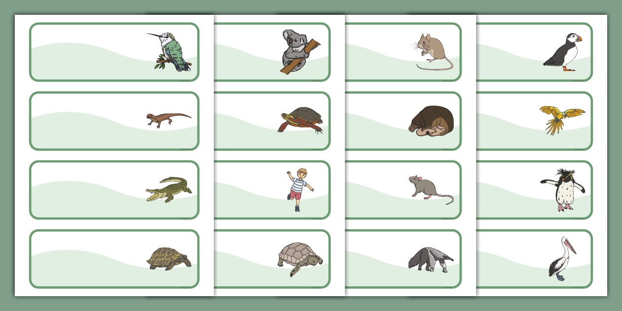 Editable Drawer Peg Name Labels to Support Teaching on The Great Pet Sale