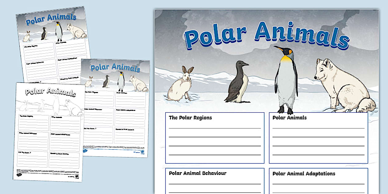 Polar Animals Fact File Template (teacher made) - Twinkl