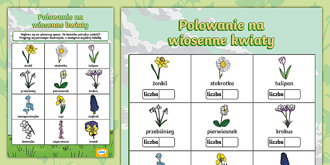 Rozpoznawanie Kwiatów Po Zdjęciu Kwiaty wiosenne | Znajdź kwiat | Karta pracy (teacher made)