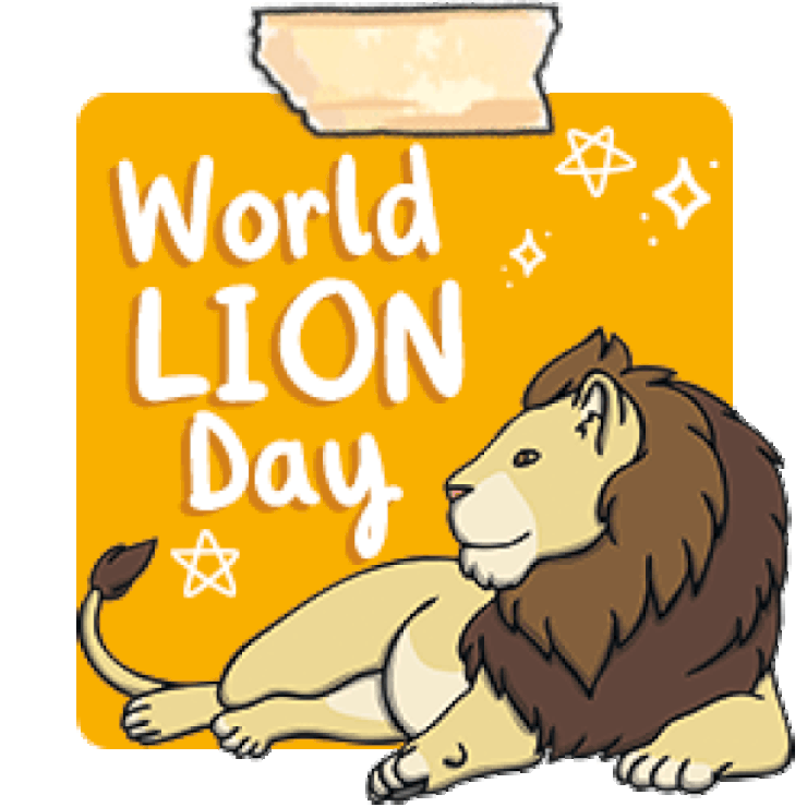 World Lion Day NZ Lion Conservation and facts Twinkl