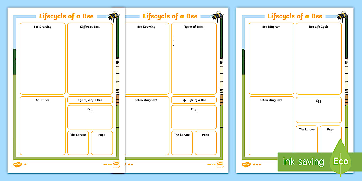 Editable KS1 Bee Fact File Differentiated Worksheets