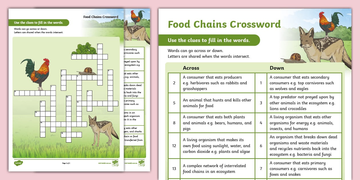 Food Chains Crossword (teacher made) Twinkl
