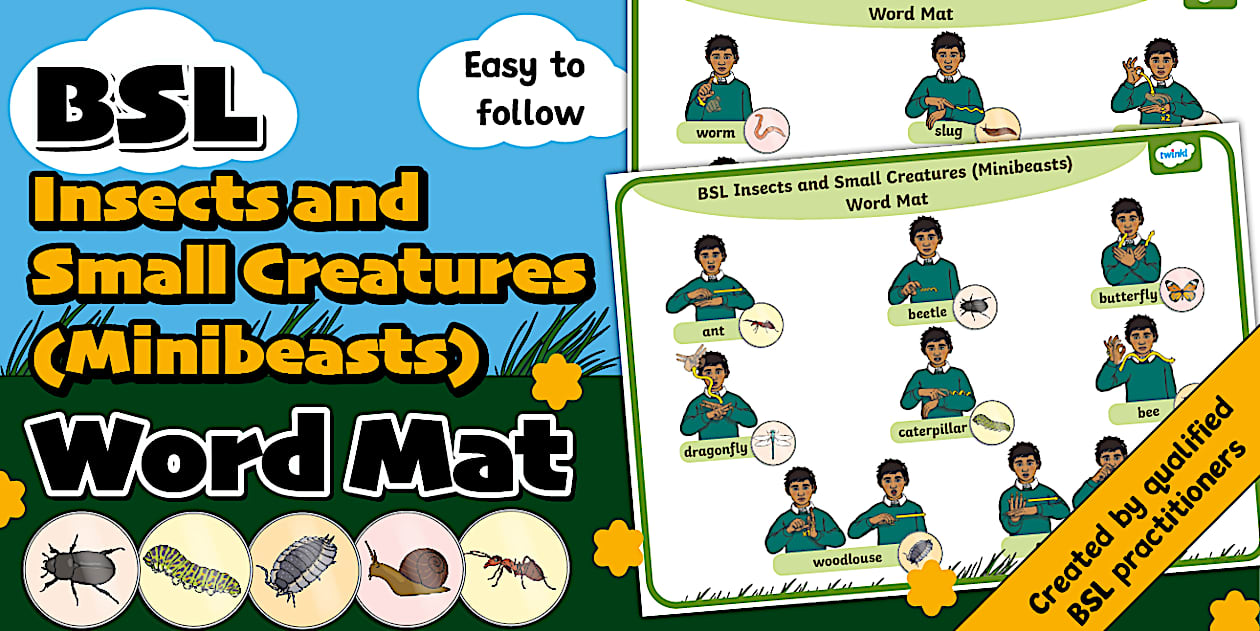 BSL Insects and Small Creatures Word Mat