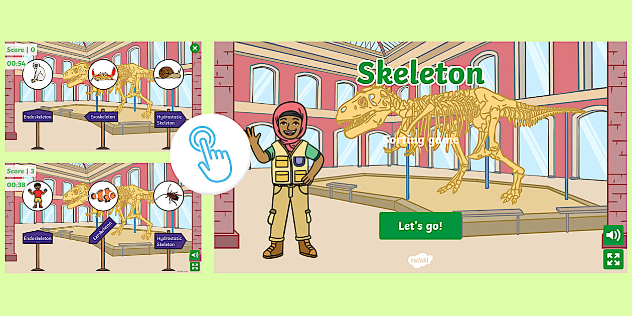 Interactive Animal Skeleton Sorting Game | Twinkl Go!