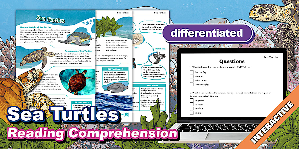 Interactive PDF: Sea Turtles Differentiated Comprehension