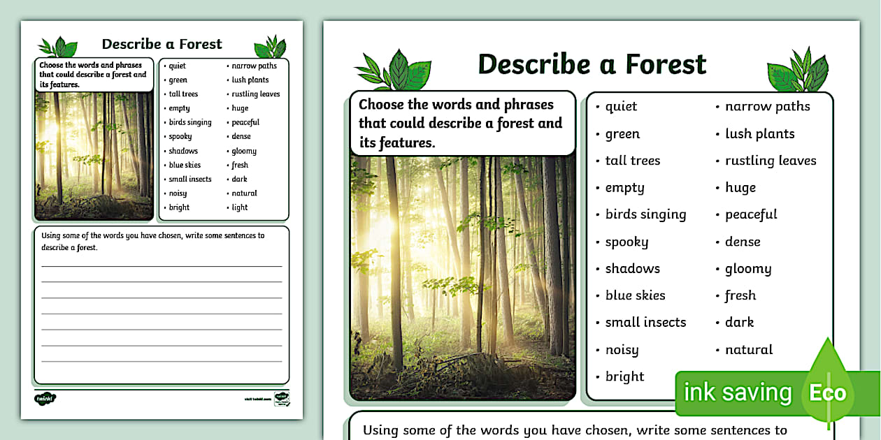 Describe a Forest Writing Activity (TeacherMade) Twinkl