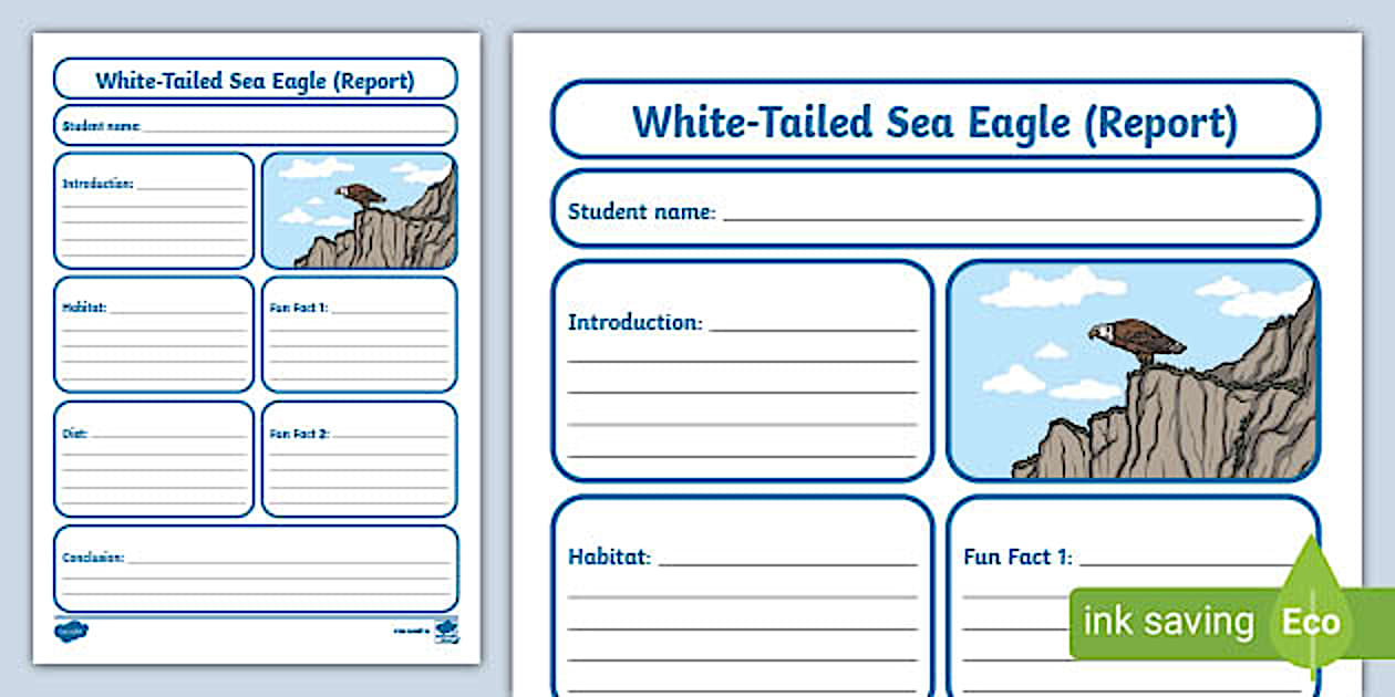 White-Tailed Sea Eagle (Report Writing Frame)
