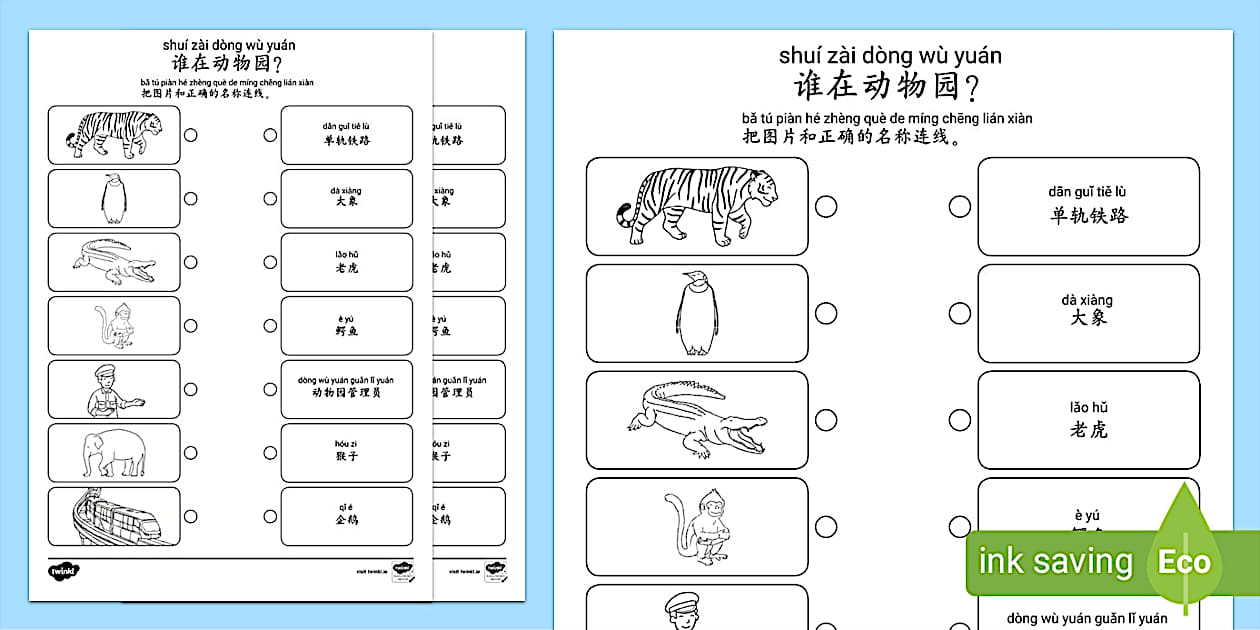 *Chinese version Who #39 s At the Zoo Worksheet* Twinkl