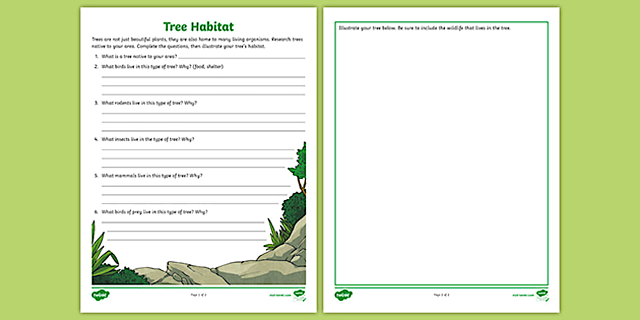 Tree Habitat Research Worksheet | 3rd - 5th Grade | Twinkl