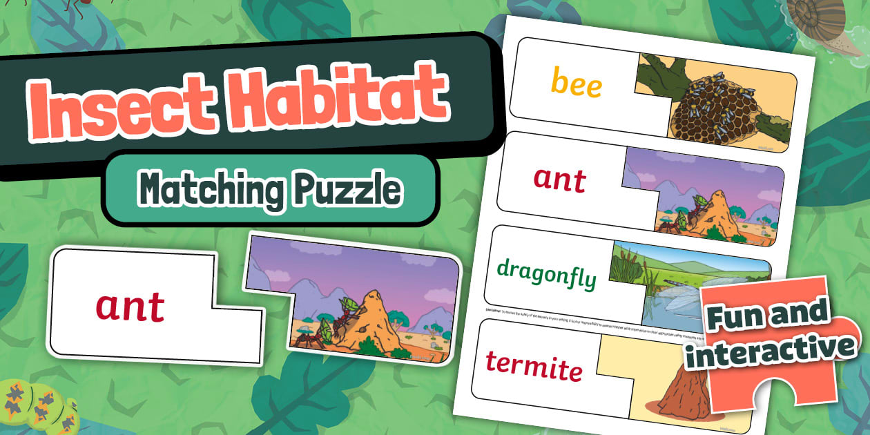 Insect Habitat Matching Puzzle