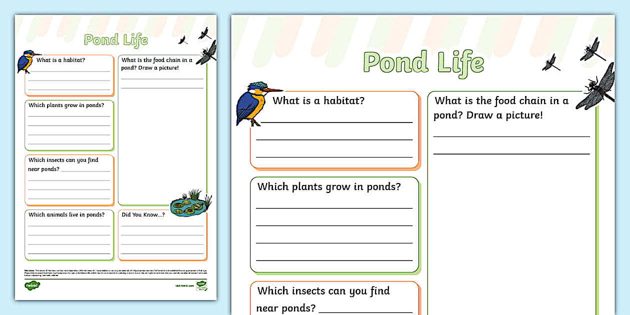 Pond Life Fact File Template (Teacher-Made) - Twinkl