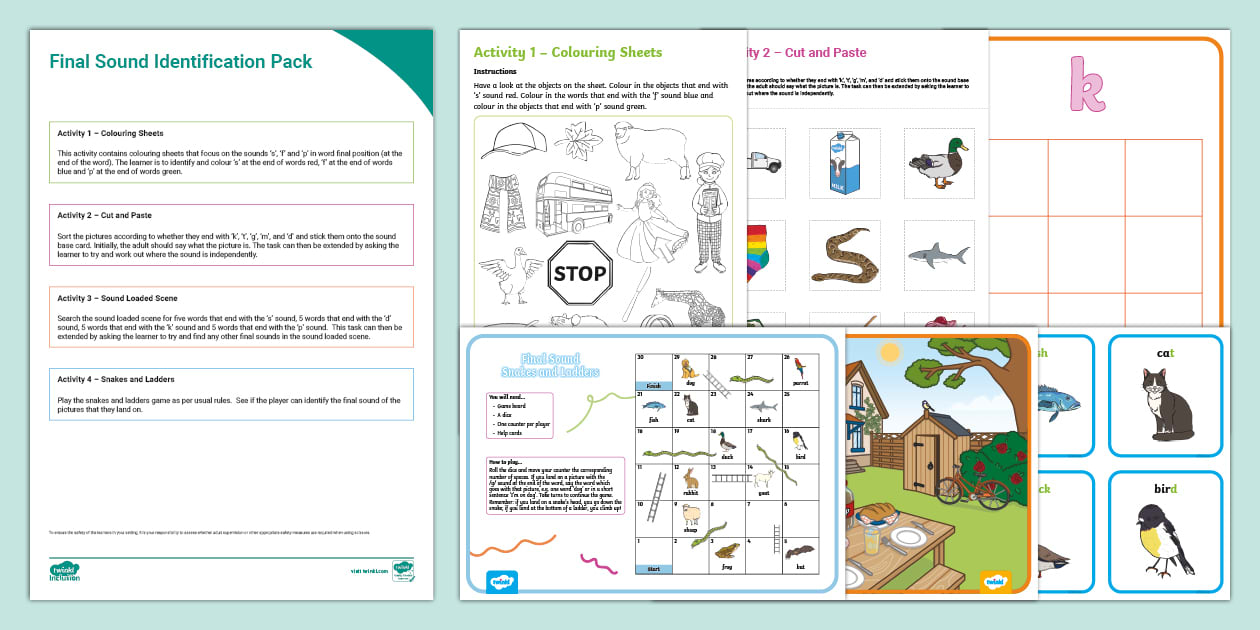 Final Sound Identification Pack. (teacher made) Twinkl