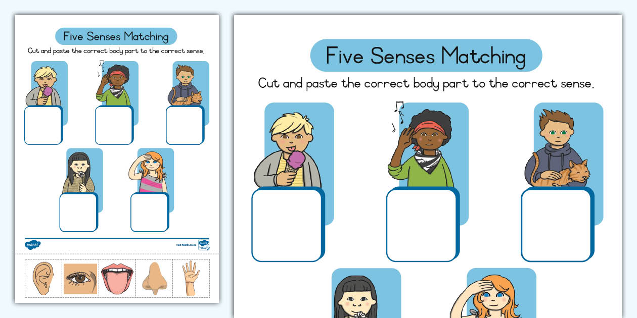 Five Senses Cut and Paste Matching Worksheet Twinkl
