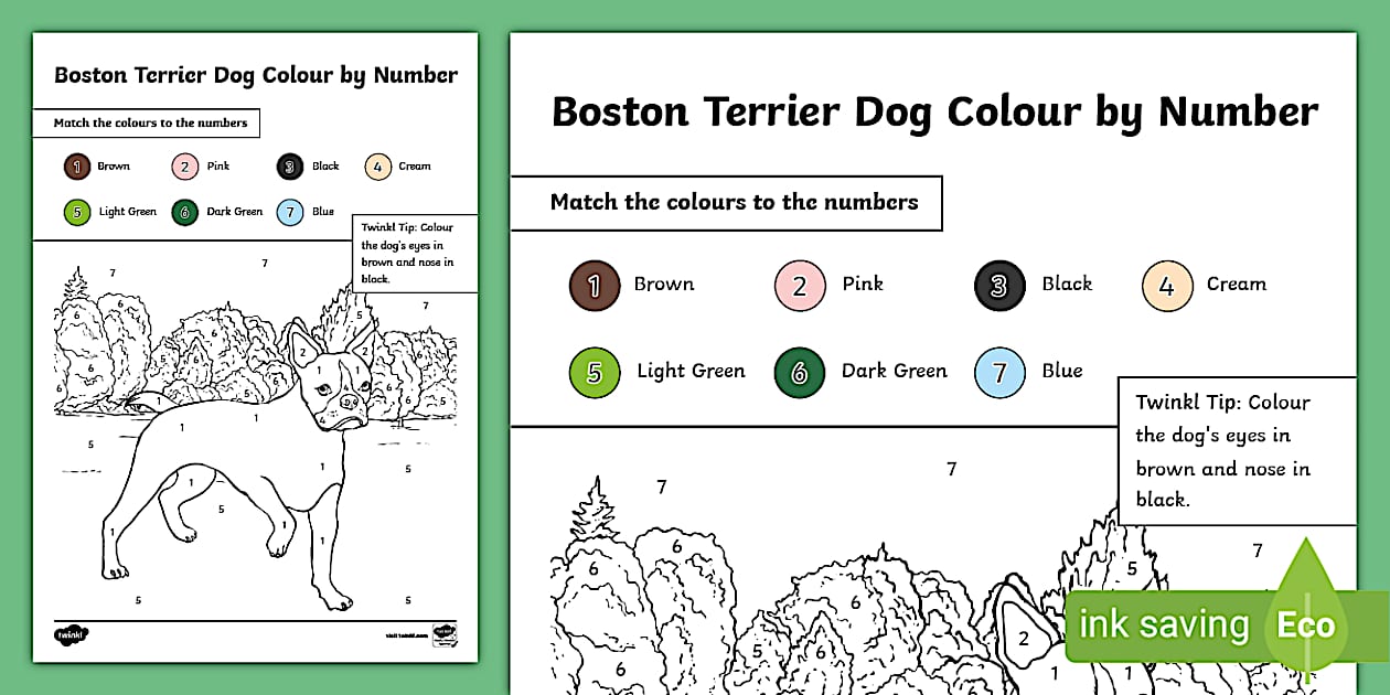 Boston Terrier Dog Colour by Number (teacher made) - Twinkl