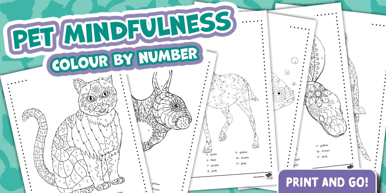 Pets Mindfulness Colour by Number - Twinkl