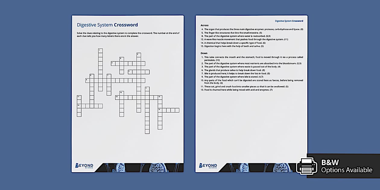 Digestive System Crossword Biology Beyond (teacher made)