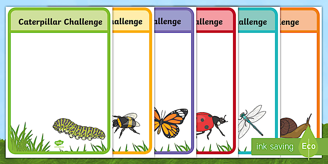 Editable Minibeast-Themed Blank Challenge Display Posters