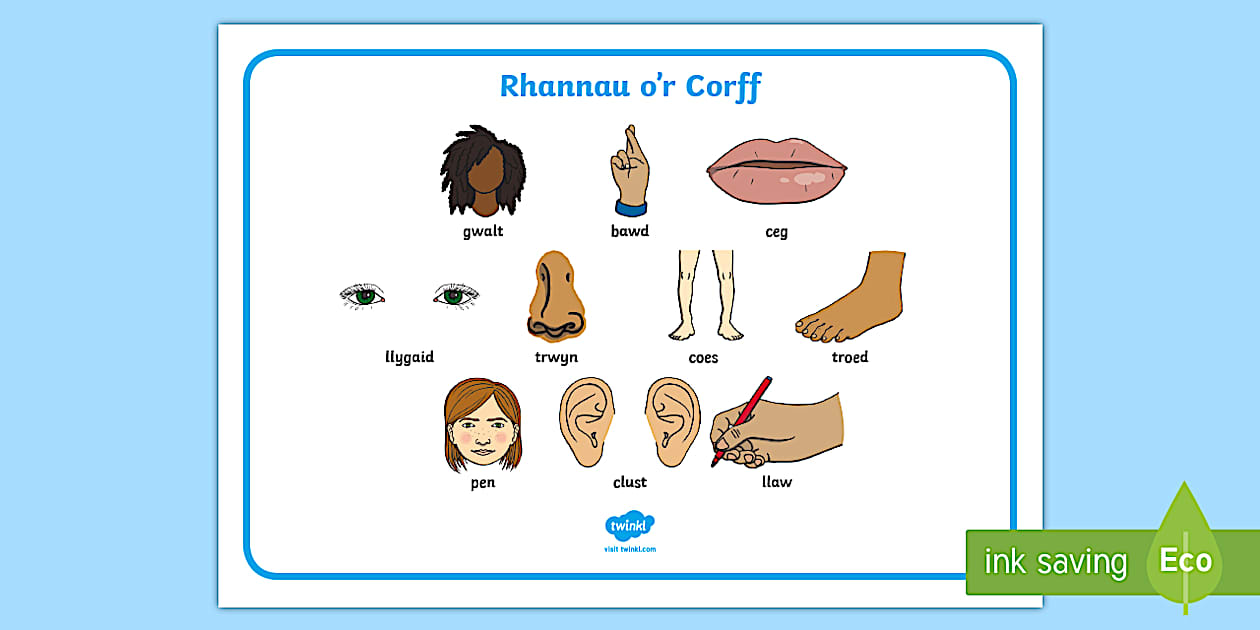 Welsh Parts of the Body Word Mat | Twinkl Welsh Resources