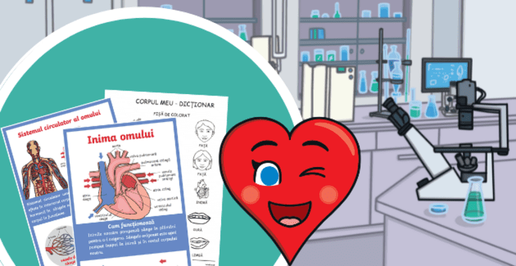 Ziua Mondială a Inimii — Evenimente — România - Twinkl