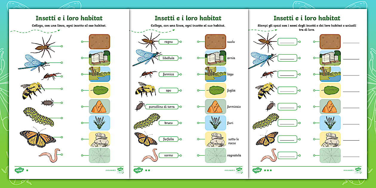 Gli insetti e i loro habitat - scheda