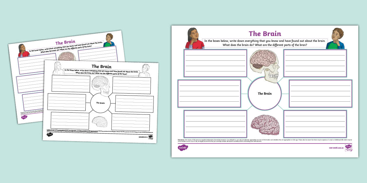 The Brain Mind Map teacher made - Au Sc 1752140705 The Brain Mind Map Ver 1 