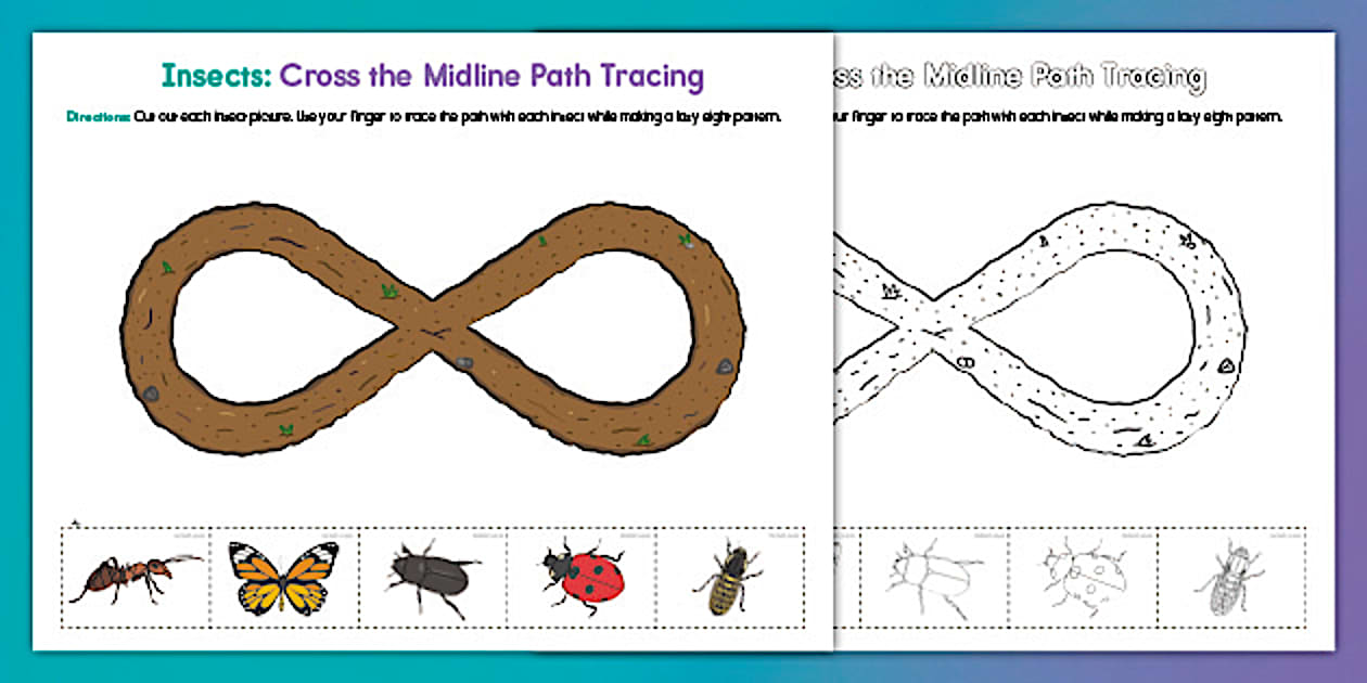 Insects: Cross the Midline Path Tracing Worksheet Sheet