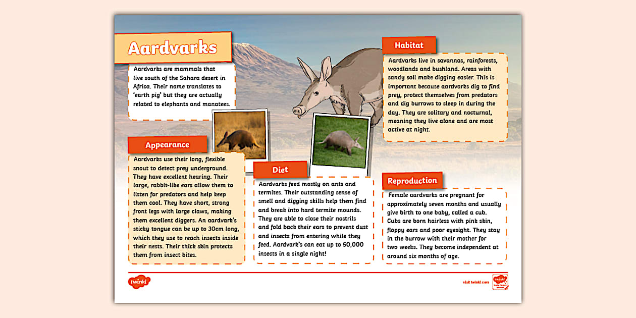 KS2 Aardvark Fact File - Animals (Teacher-Made) - Twinkl