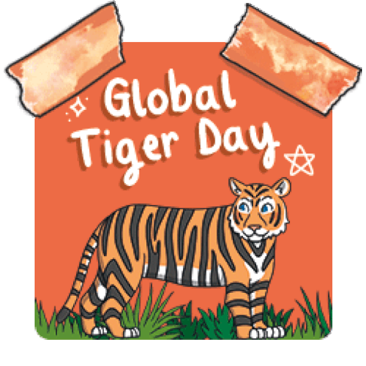 International Tiger Day 2024 NZ Twinkl