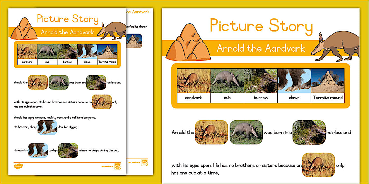 Aardvark Picture Story - Twinkl South Africa (teacher made)