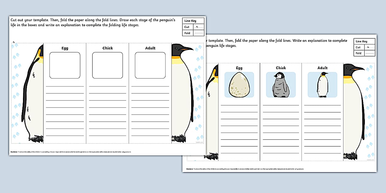 Penguin Folding Life Stages Template (teacher made) - Twinkl