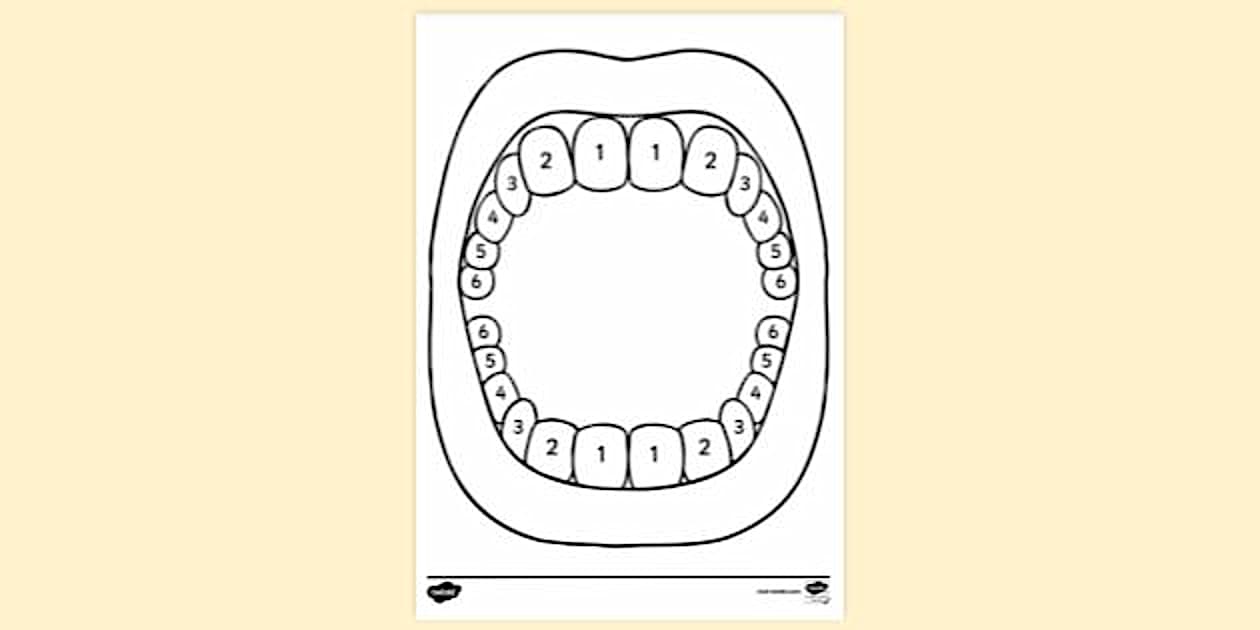 Baby Teething Chart Colouring Sheet EYLF Parents