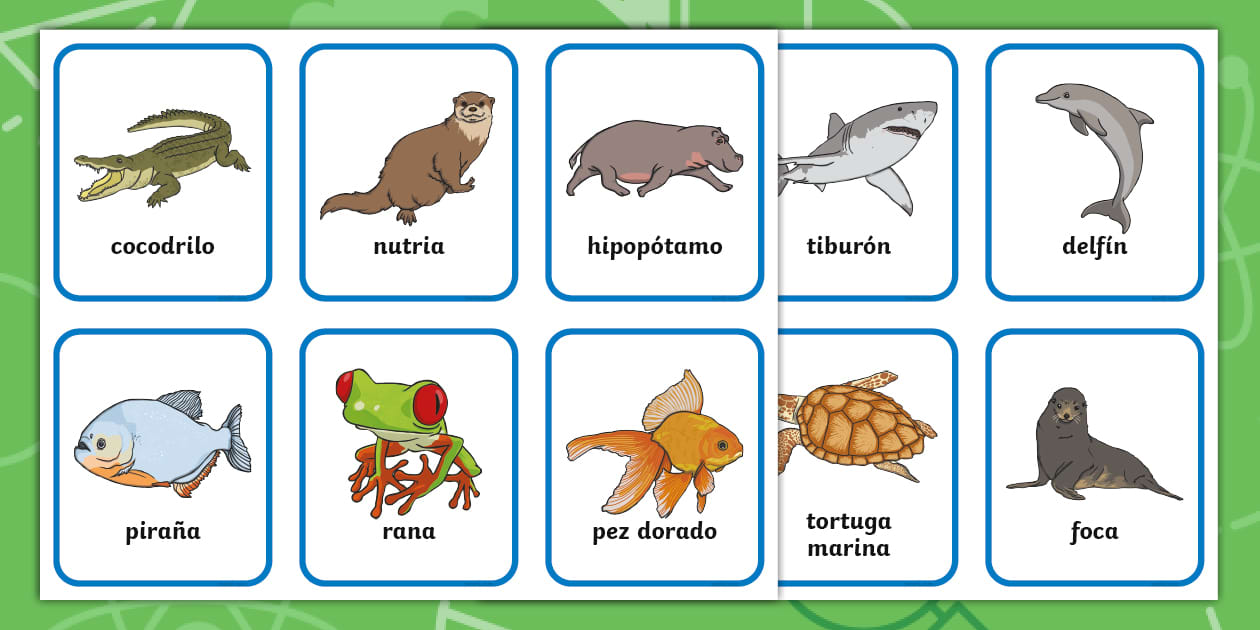 Tarjetas de Clasificación: Animales de Agua Dulce y Salada