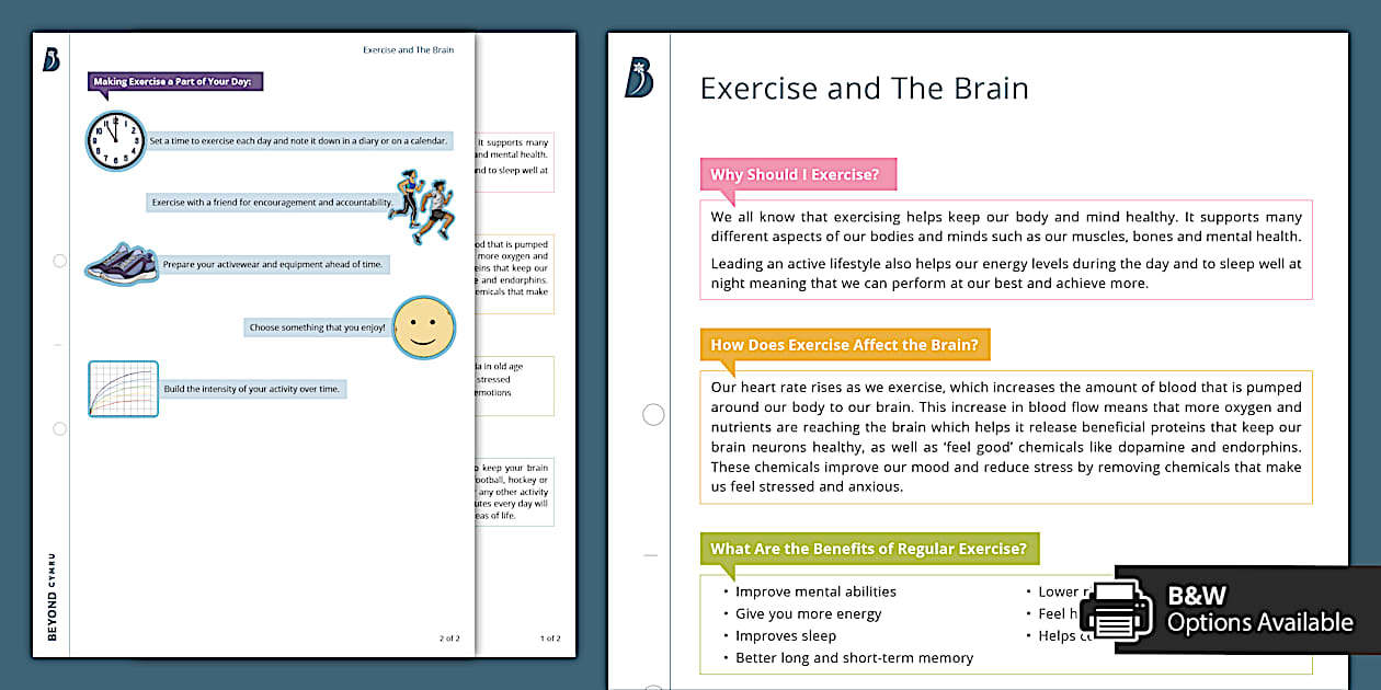 Exercise and The Brain Infographic (Teacher-Made) - Twinkl
