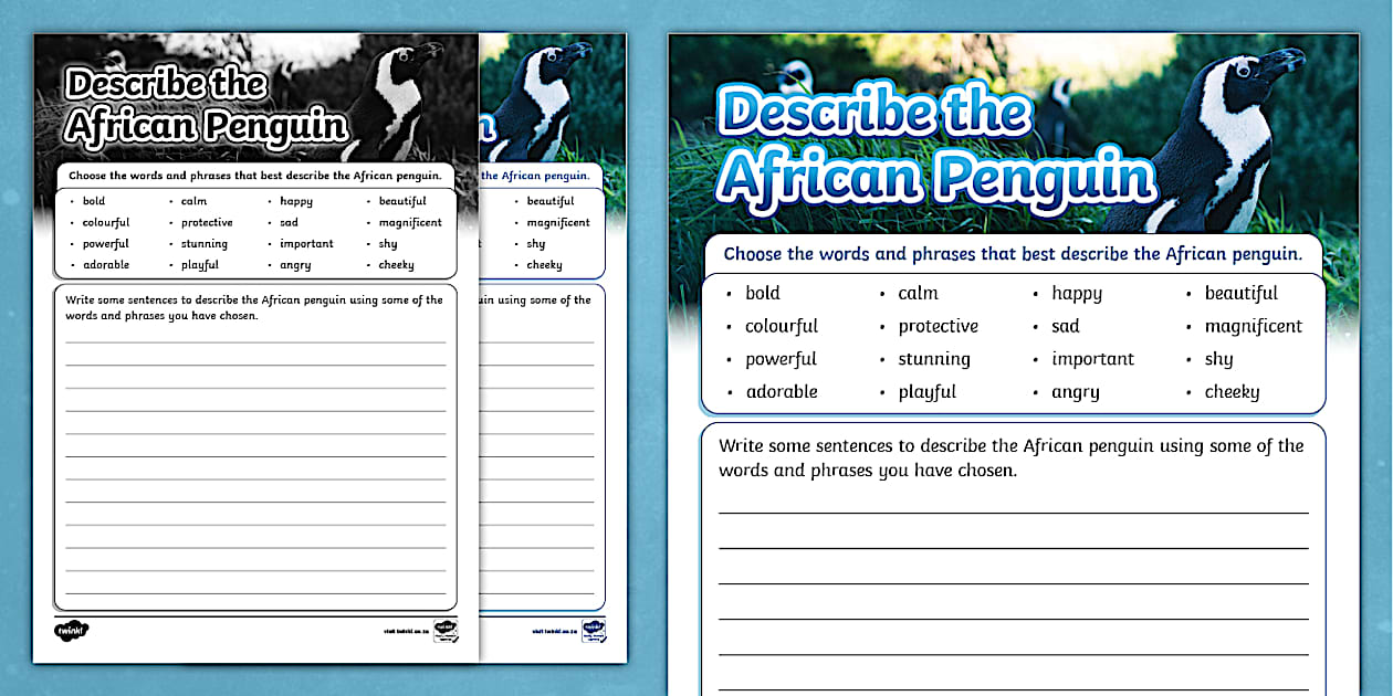 Describe the African Penguin Worksheet (teacher made)