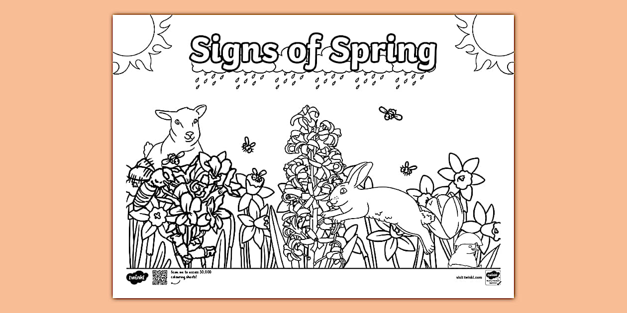 Signs of Spring Doodle Colouring Sheet (teacher made)