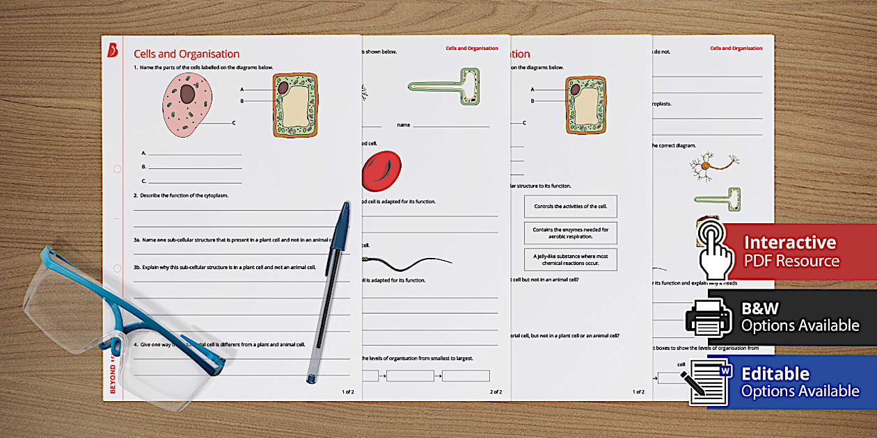 Cells and Organisation Differentiated Worksheets - Beyond