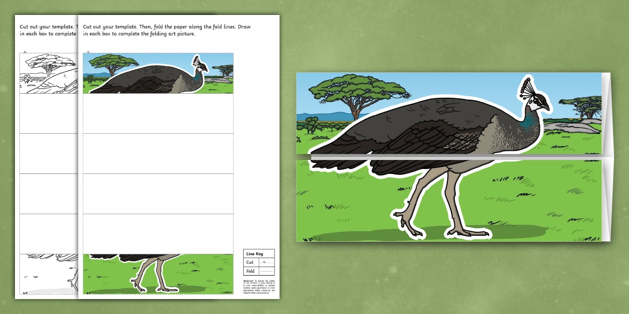 Indian Peafowl Folding Art Template (teacher made) - Twinkl