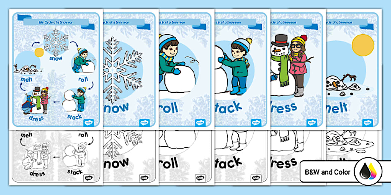 Life Cycle of a Snowman Posters (teacher made) Twinkl