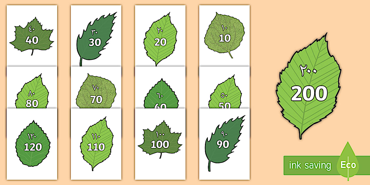 Counting in 10s on Leaves Display Posters Arabic/English - Numbers to ...