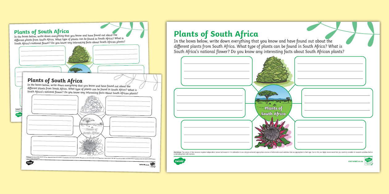 Plants of South Africa Mind Map (teacher made) - Twinkl