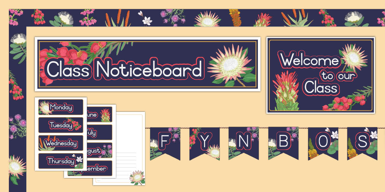 Fynbos Display Pack (teacher made) - Twinkl