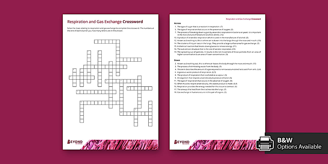 Respiration Crossword Respiration Gas Exchange Twinkl