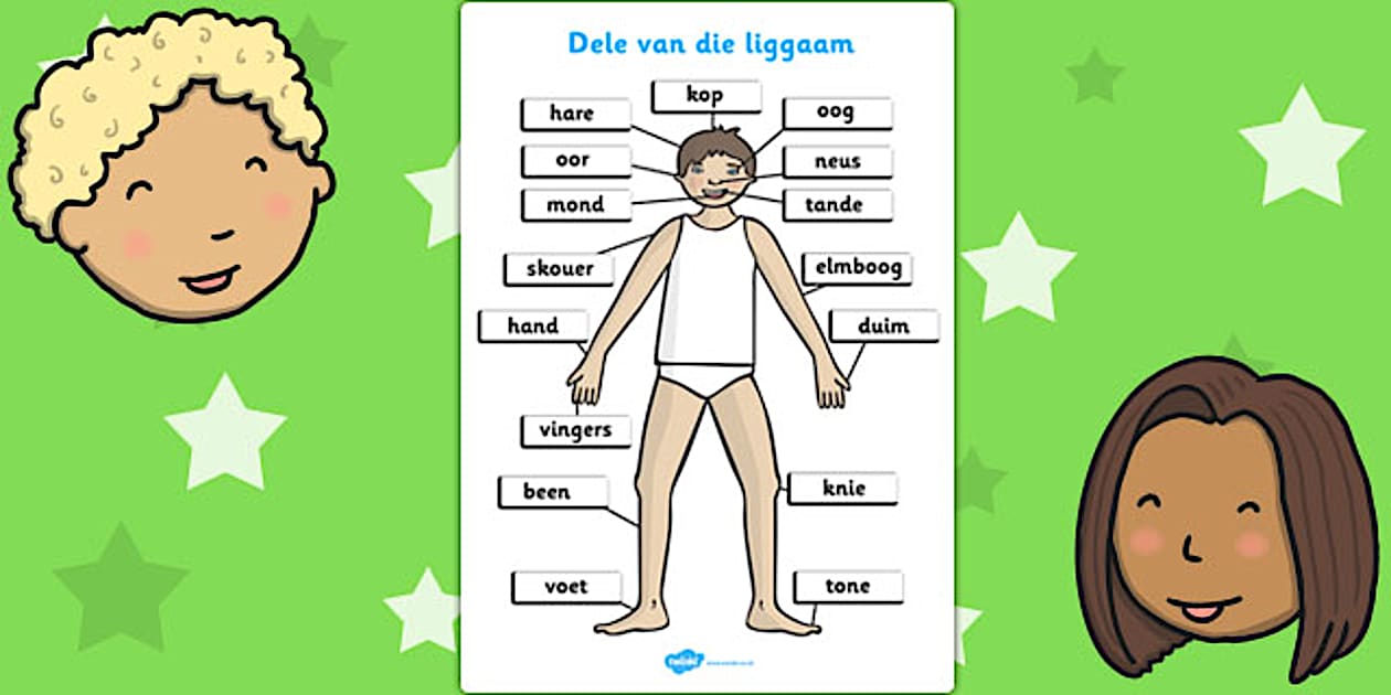 liggaamsdele-a4-hecho-por-educadores-twinkl