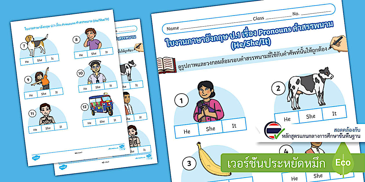 ใบงาน Pronoun (He/She/It) พร้อมเฉลย - Pronoun Worksheet