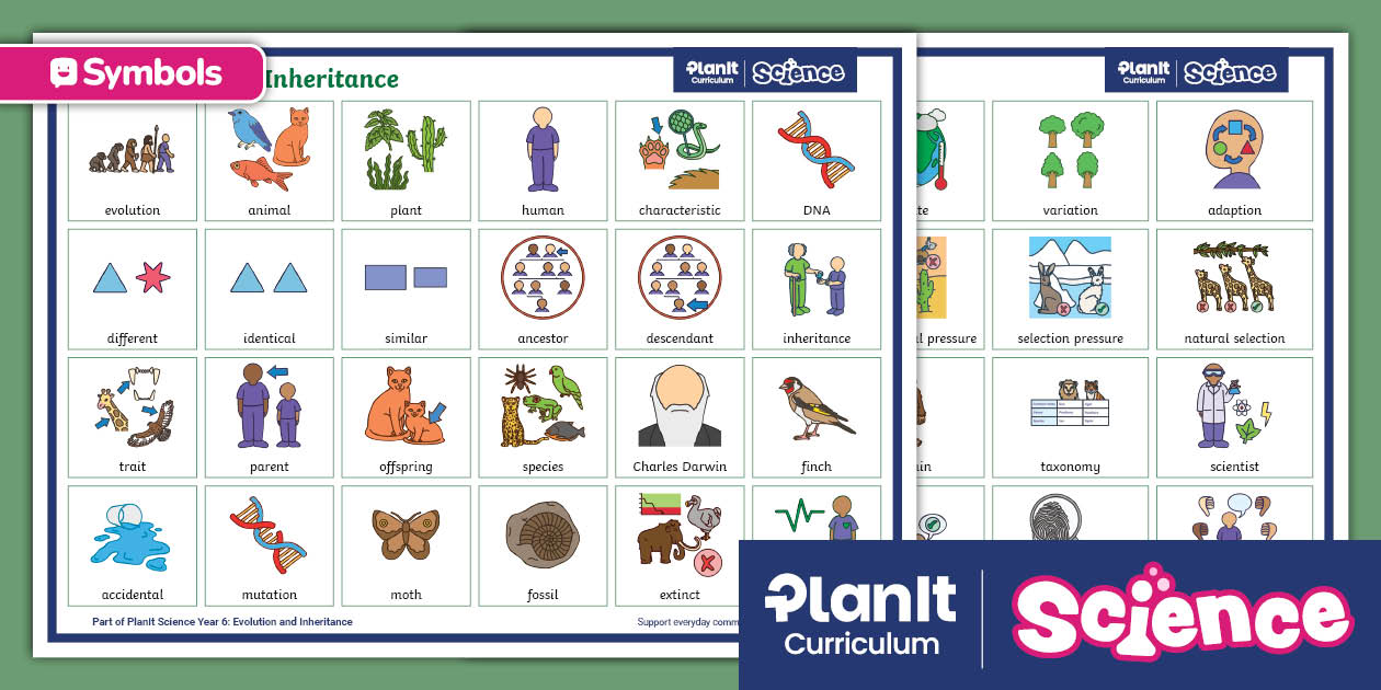 Twinkl Symbols: Evolution and Inheritance: Year 6: AAC Mat