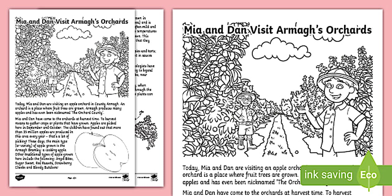 Editable Mia and Dan Visit Armagh's Orchards Activity Sheets