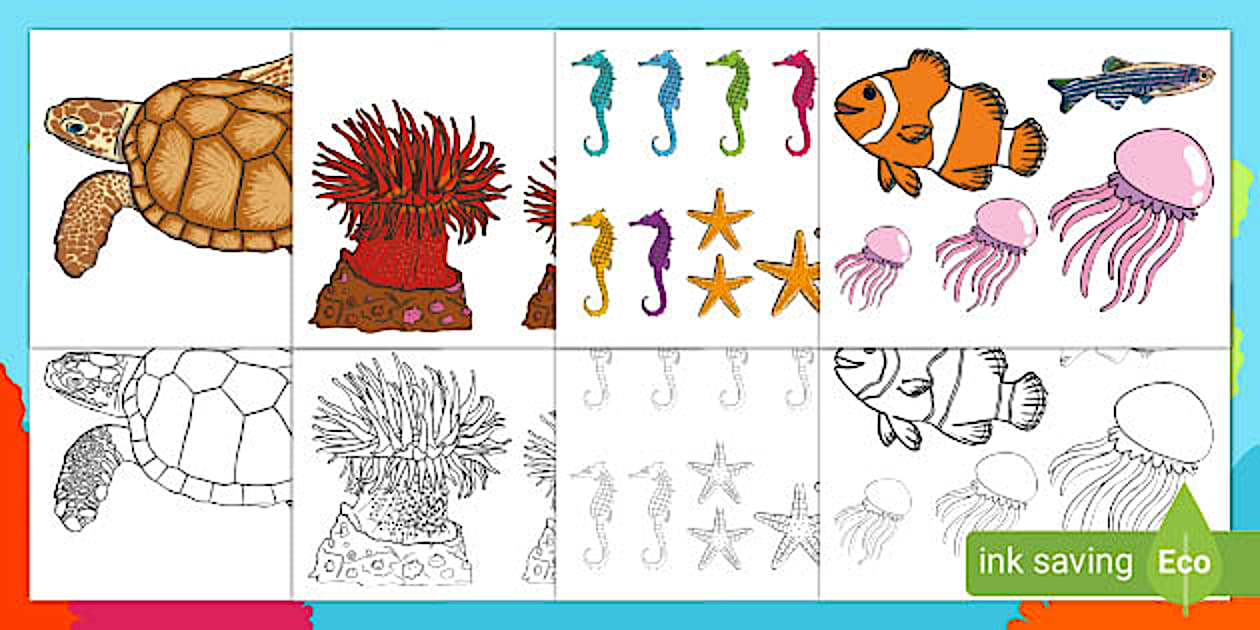 Printable Dive Into Learning! Cutouts | Twinkl USA - Twinkl